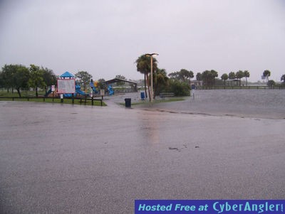 Kelly Park Dock - Underwater