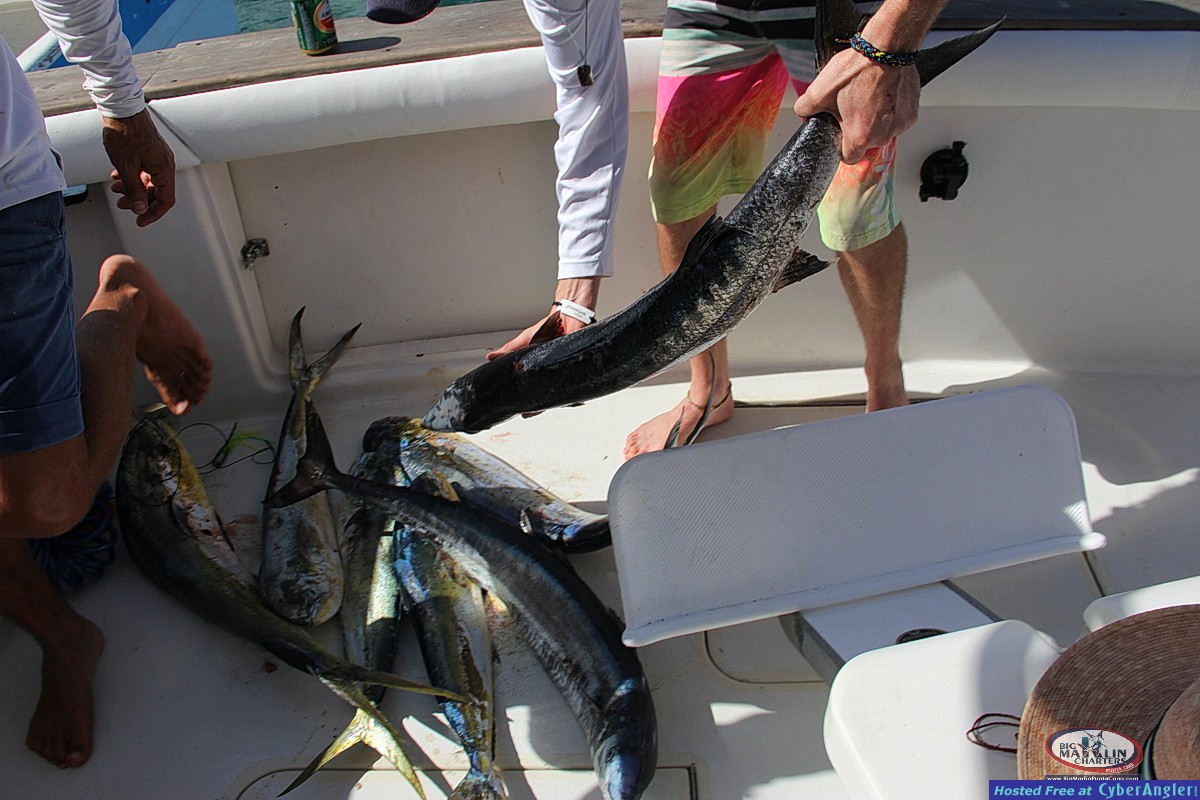 fishing_wicked_tyler_puntacana45