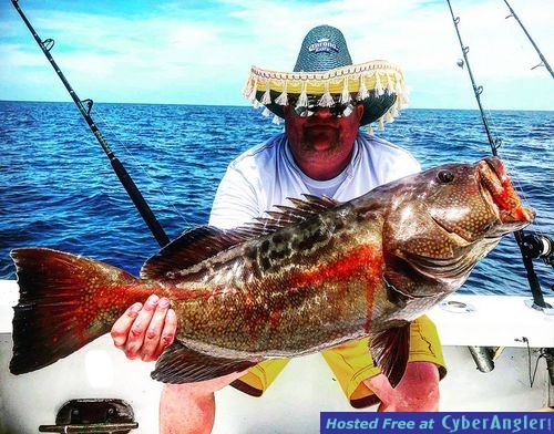 fishing_islamorada_black_grouper_funny_hat