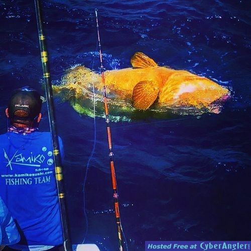 Fishing_Islamorada_goliath_grouper