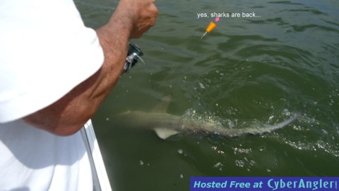 Click to Enlarge Photo