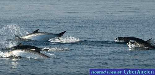 Click to Enlarge Photo