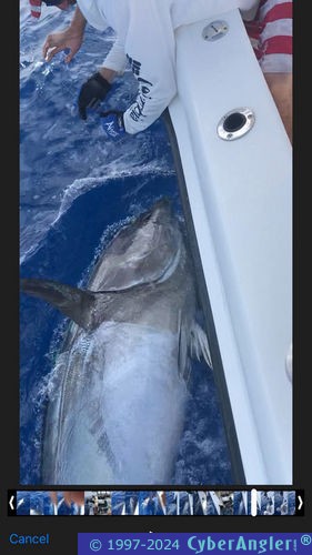 Click to Enlarge Photo