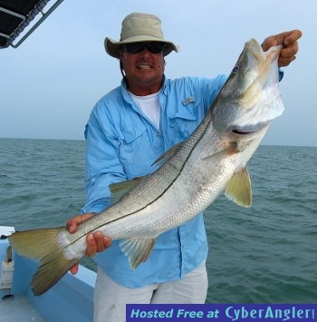 Everglades National Park Snook