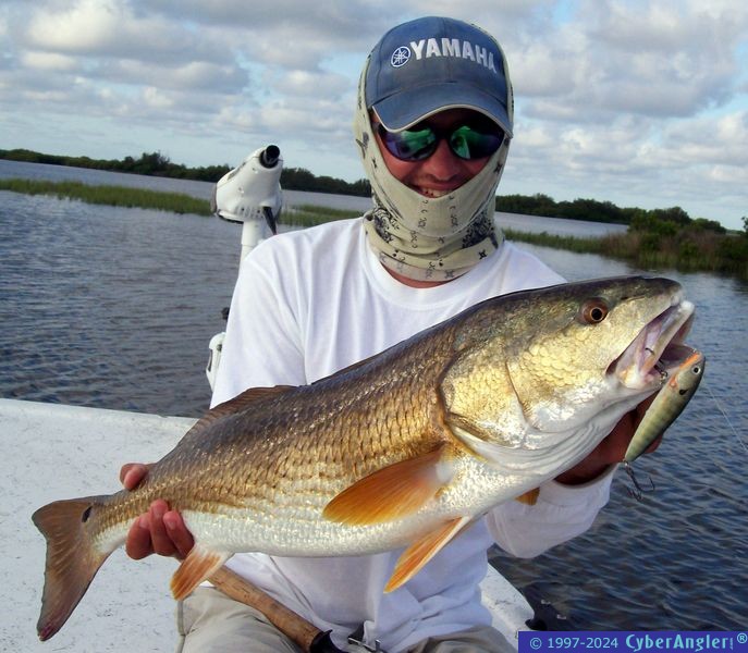 Big Redfish!
