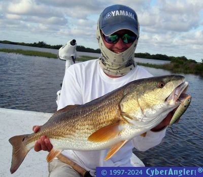 Big Redfish!