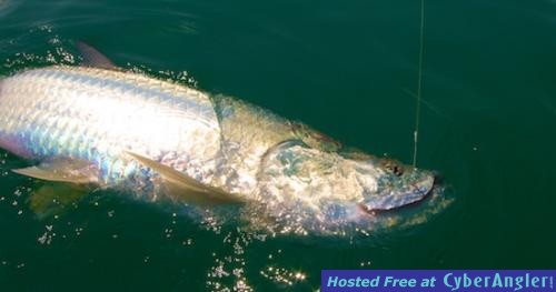 Click to Enlarge Photo