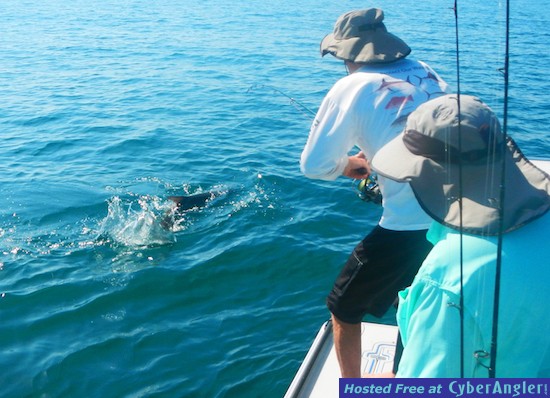 rodney_fights_tarpon_6218