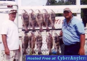 www.captdaves.com