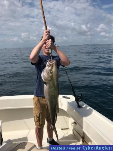 Click to Enlarge Photo