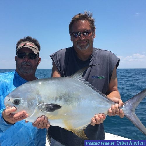 Naples Florida Permit