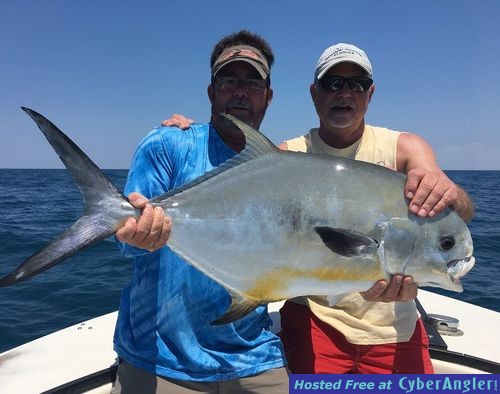 Naples Florida Permit