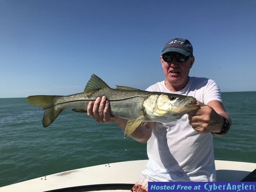 Naples Florida Snook