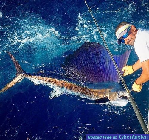 Click to Enlarge Photo