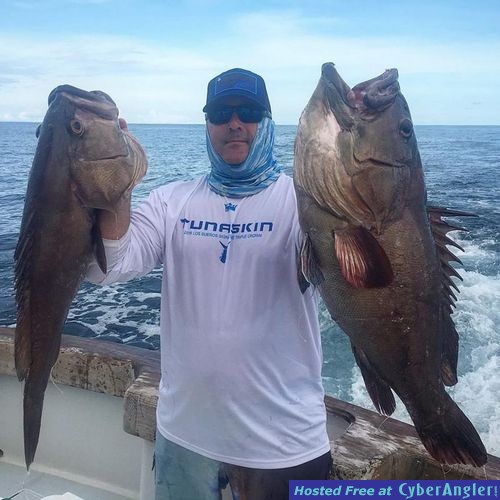 Click to Enlarge Photo