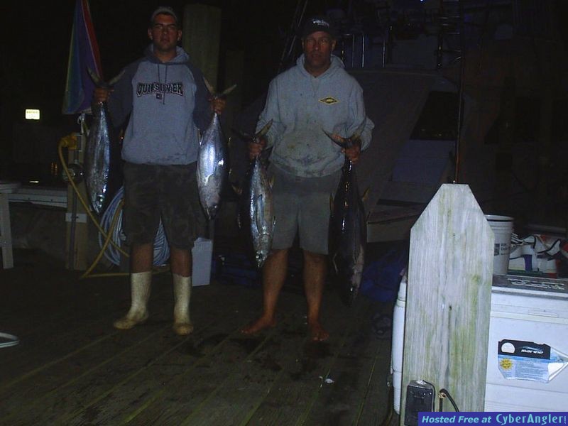 YELLOWFIN TUNA