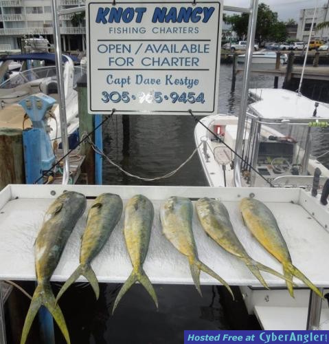 Click to Enlarge Photo