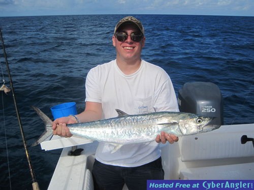 29-inch kingfish-Runge