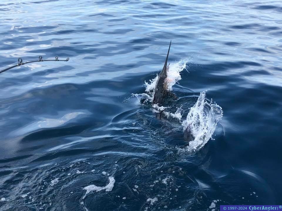 Fishing Stuart, FL