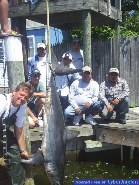 MAKO SHARK!