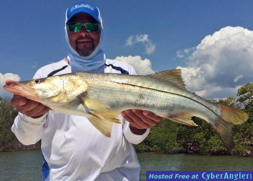 A_nice_slot_size_snook_on_a_Captain_Rapps_Charter