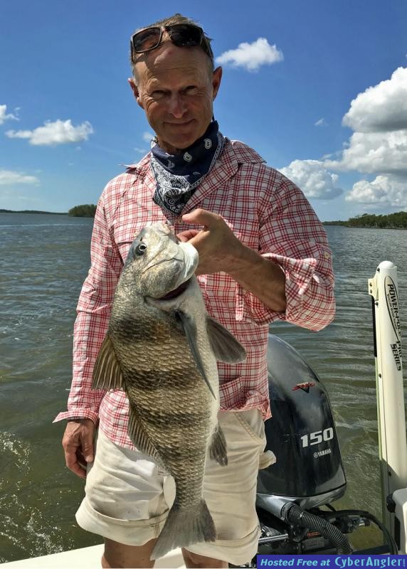 Black_Drum_JD