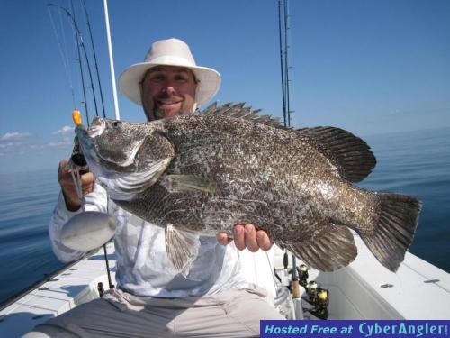 Click to Enlarge Photo