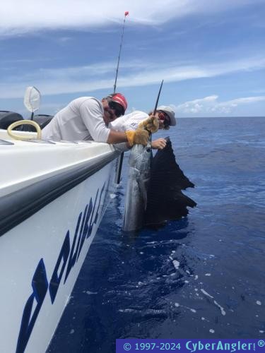 Click to Enlarge Photo