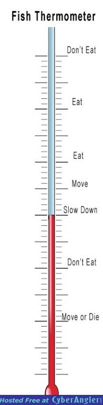 Thermometer_1