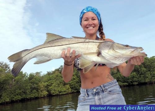 Click to Enlarge Photo