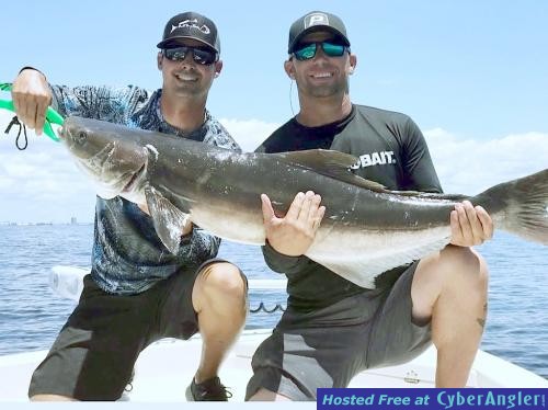 Click to Enlarge Photo