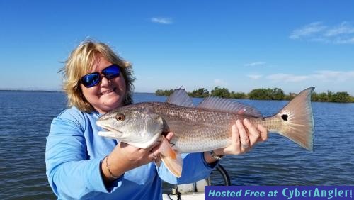 Click to Enlarge Photo