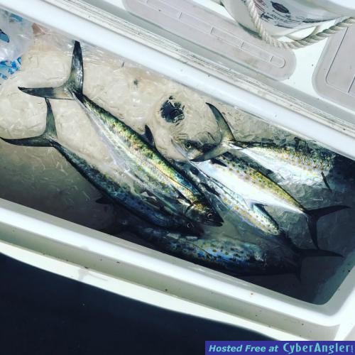 Click to Enlarge Photo