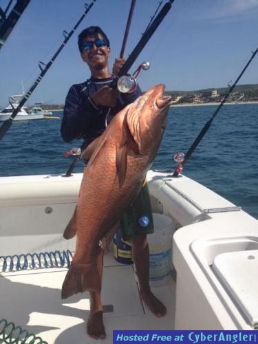 Click to Enlarge Photo