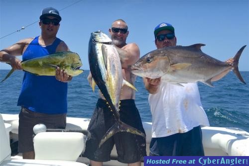 Click to Enlarge Photo