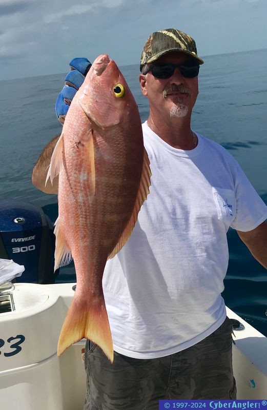 Click to Enlarge Photo