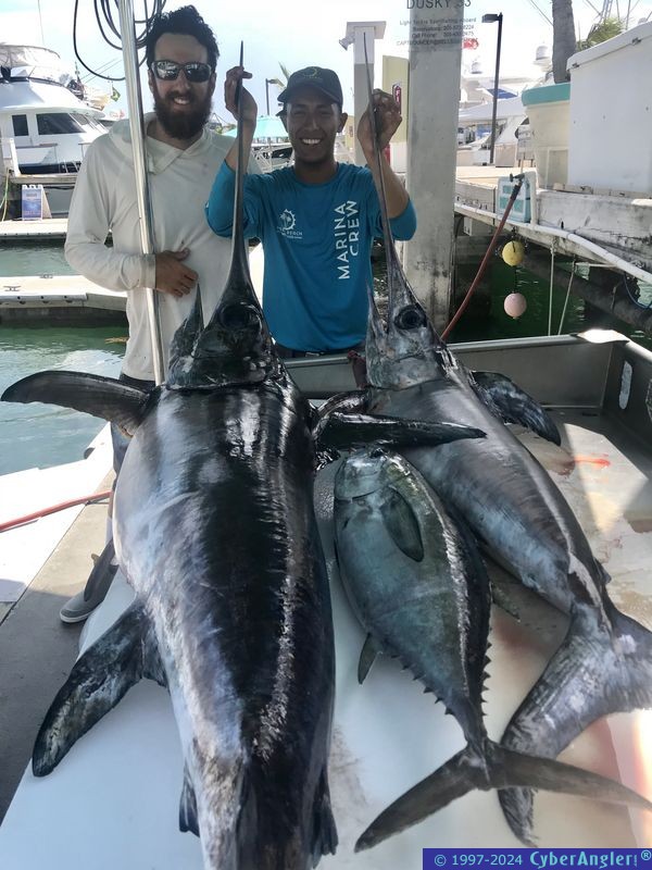 Click to Enlarge Photo