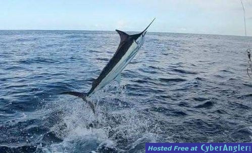 Fishing Costa Rica