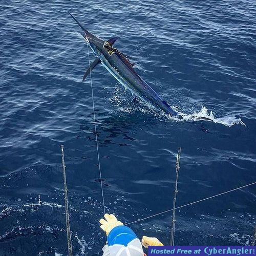 Fishing Costa Rica