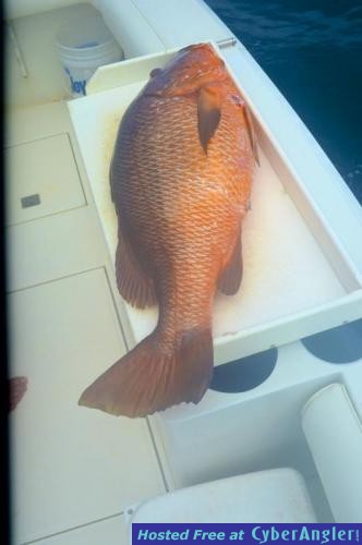 Click to Enlarge Photo