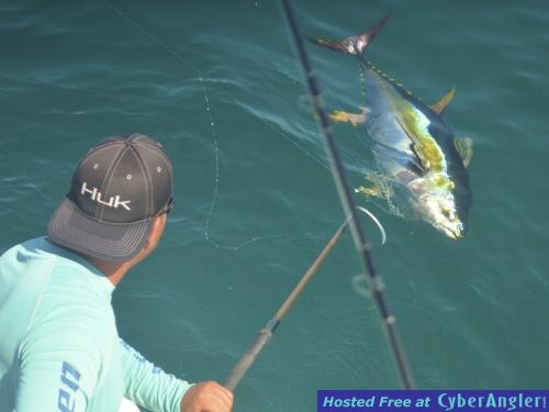 Click to Enlarge Photo