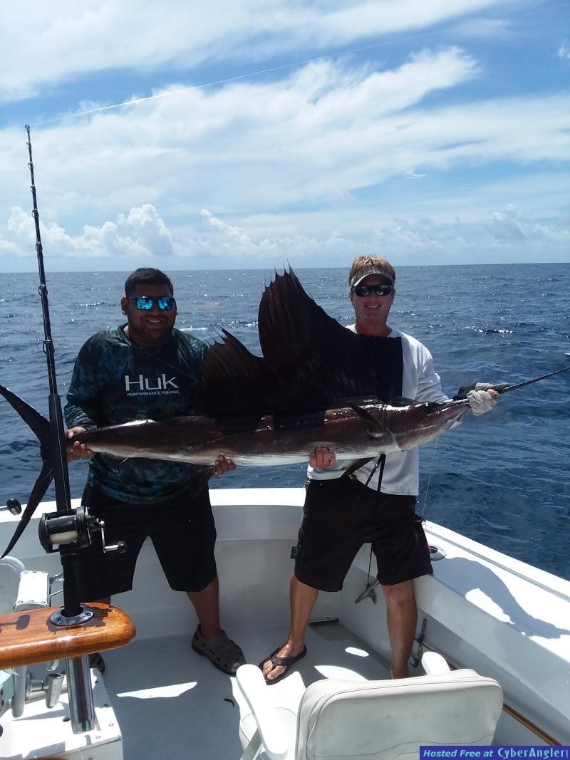 sailfish_andy