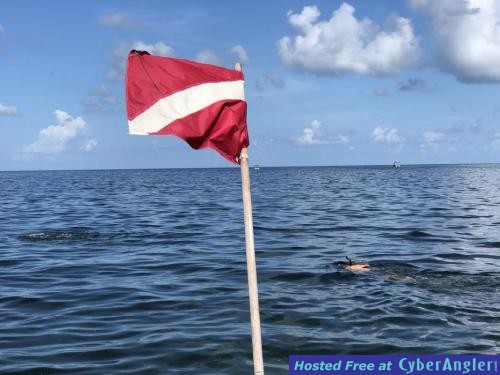 Homosassa_Scalloping_Charter_2018