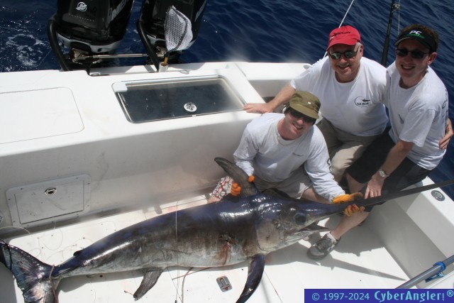 Daytime Swordfish -  Miami - Double D Charters