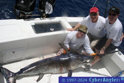 Click to Enlarge Photo