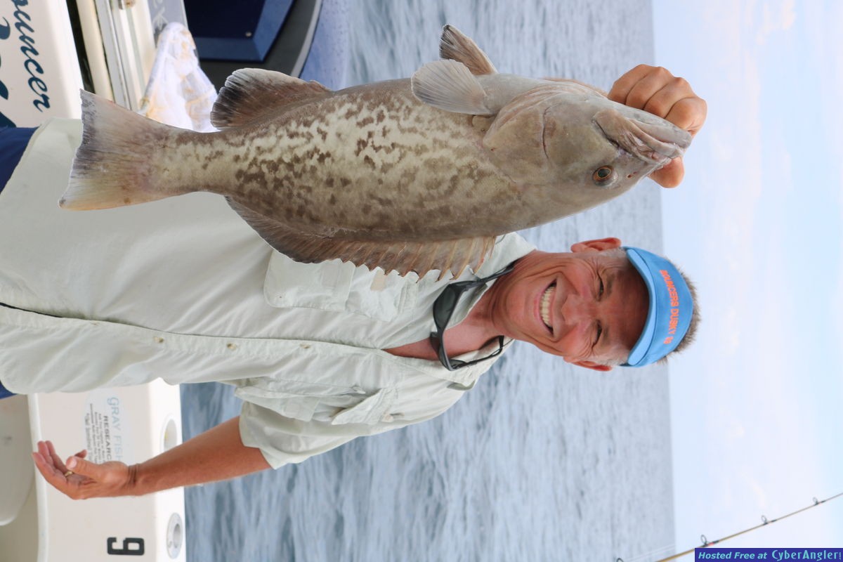 IMG_4493_Gag_grouper1