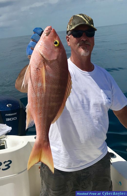 IMG_7841_Yellow_eye_snapper1