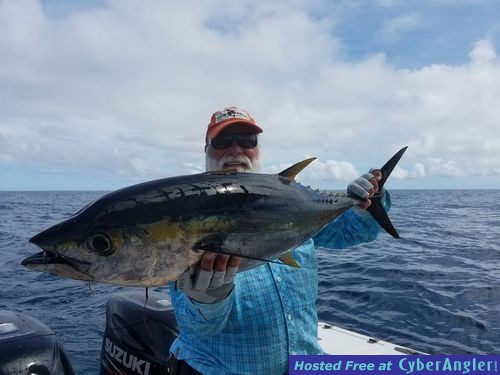 Panama Tuna