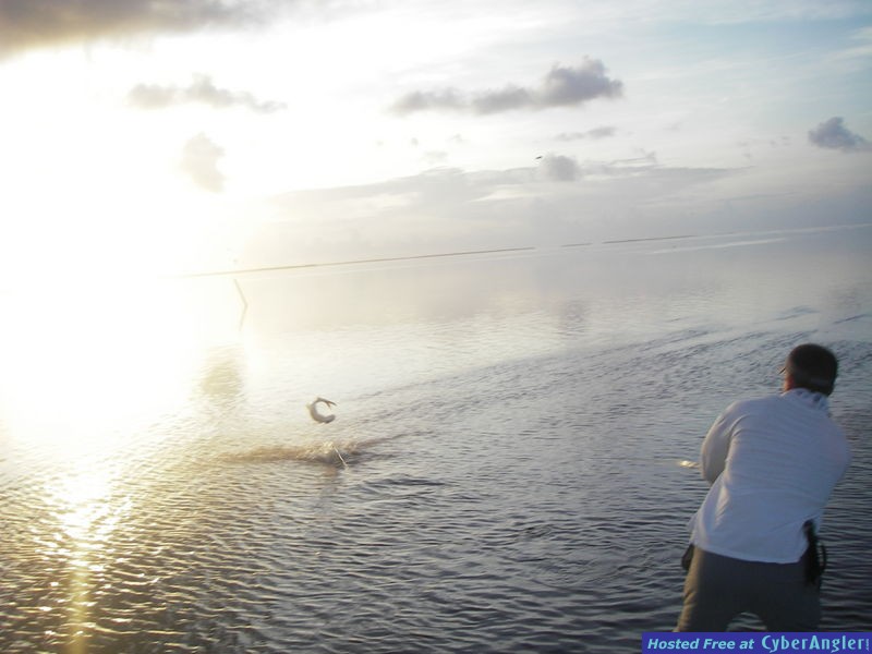 Mike Alfano on with a Flamingo Tarpon!