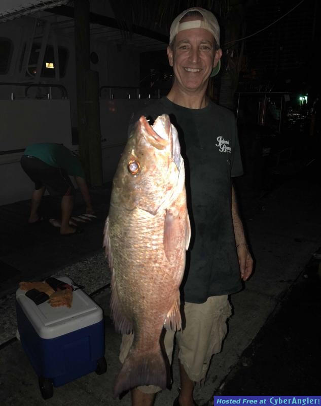 snapper